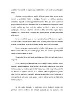 Eseja 'Lēmumu pieņemšana', 2.