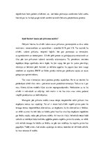 Eseja 'Lēmumu pieņemšana', 3.