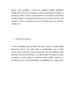 Eseja 'Lēmumu pieņemšana', 5.