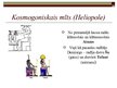 Prezentācija 'Ēgiptiešu mīti', 9.