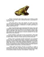 Referāts 'Abinieki', 1.