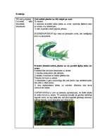 Referāts 'Abinieki', 3.