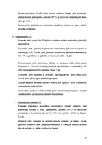 Referāts 'Hidrotermālā baseina ūdens attīrīšanas tehnoloģijas projekts RSEZ SIA "Verems"', 26.