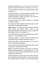 Referāts 'Hidrotermālā baseina ūdens attīrīšanas tehnoloģijas projekts RSEZ SIA "Verems"', 28.