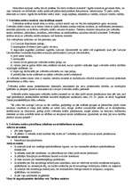 Konspekts 'Notariāta tiesības', 5.