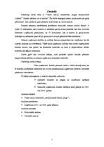 Referāts 'VAS "Rīgas Starptautiskā Lidosta" finanšu pārskati un to analīze', 3.