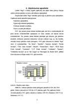 Referāts 'VAS "Rīgas Starptautiskā Lidosta" finanšu pārskati un to analīze', 4.
