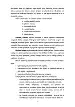 Referāts 'VAS "Rīgas Starptautiskā Lidosta" finanšu pārskati un to analīze', 7.