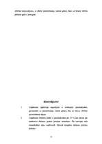 Referāts 'VAS "Rīgas Starptautiskā Lidosta" finanšu pārskati un to analīze', 13.