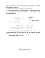 Referāts 'Karjeras konsultācijas analīze', 10.