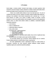 Biznesa plāns 'Biznesa plāns SIA "Energy Shine"', 5.