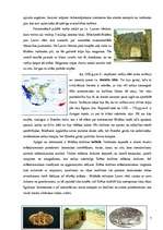 Referāts 'Krētas - Mikēnu antīkās kultūras periods', 7.