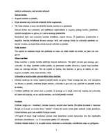 Referāts 'Basketbols', 2.