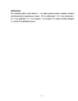 Referāts 'Basketbols', 3.