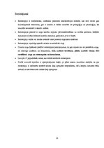 Referāts 'Reitterapija un tās ietekme uz cilvēka veselību', 26.