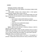 Referāts 'Reitterapija un tās ietekme uz cilvēka veselību', 29.