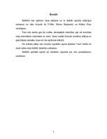 Referāts 'Varas raksturojums un kritika politikas teorijā', 3.