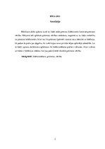 Referāts 'Grāmatas vērtības konstruēšana grāmatu kolekcionāru skatījumā', 2.