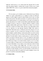 Referāts 'Grāmatas vērtības konstruēšana grāmatu kolekcionāru skatījumā', 30.