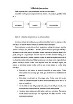 Referāts 'Motivācija', 6.