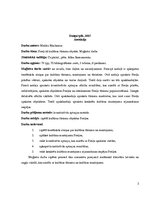 Diplomdarbs 'Preiļi kā kultūras tūrisma objekts', 2.