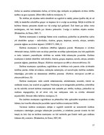 Diplomdarbs 'Preiļi kā kultūras tūrisma objekts', 17.