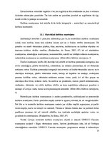 Diplomdarbs 'Preiļi kā kultūras tūrisma objekts', 18.