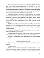 Diplomdarbs 'Preiļi kā kultūras tūrisma objekts', 37.