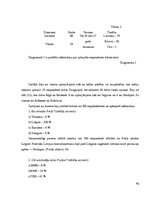 Diplomdarbs 'Preiļi kā kultūras tūrisma objekts', 40.