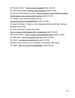 Diplomdarbs 'Preiļi kā kultūras tūrisma objekts', 68.