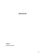 Diplomdarbs 'Preiļi kā kultūras tūrisma objekts', 69.