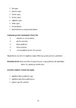 Biznesa plāns 'Biznesa plāns restorānam', 10.