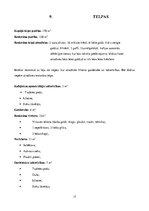 Biznesa plāns 'Biznesa plāns restorānam', 17.