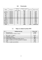 Biznesa plāns 'Biznesa plāns restorānam', 21.