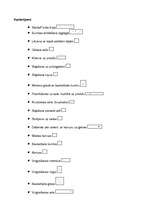 Konspekts 'Sporta stafete 12.klasei', 2.