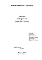 Referāts 'Skeneri', 1.