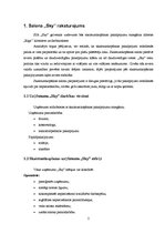 Biznesa plāns 'Mārketinga kampaņa salonam', 2.