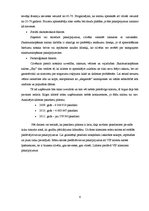 Biznesa plāns 'Mārketinga kampaņa salonam', 6.