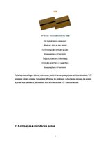 Biznesa plāns 'Mārketinga kampaņa salonam', 7.