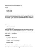 Biznesa plāns 'Mārketinga kampaņa salonam', 9.