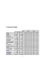 Biznesa plāns 'Mārketinga kampaņa salonam', 11.