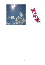 Biznesa plāns 'Mārketinga kampaņa salonam', 13.