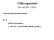 Prezentācija 'C++ Cikla operatori', 3.