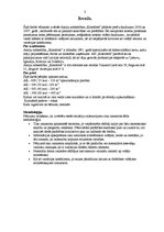 Paraugs 'Realizēto preču statistika', 3.