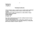 Paraugs 'Realizēto preču statistika', 8.