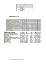 Biznesa plāns 'Бизнесс план предвтавляет фирму "Frs"', 5.