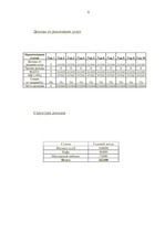 Biznesa plāns 'Бизнесс план предвтавляет фирму "Frs"', 9.