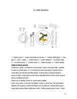 Referāts 'Banketa klāšana 20 gadu jubilejā', 11.