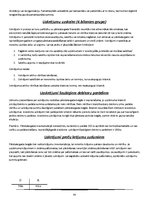 Konspekts 'Finanšu grāmatvedība', 65.