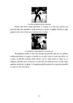 Referāts 'Spēka izmantošana apsardzes darbībā', 6.